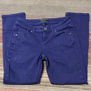 Tommy Bahama Denim Blue Ribbon Ankle‎ Jeans